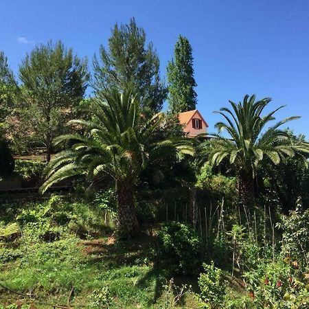Casa D'Olivia Villa Porto Da Cruz Buitenkant foto