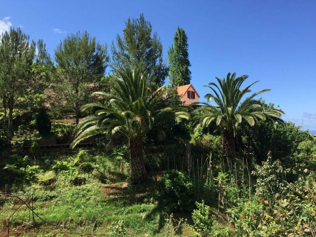 Casa D'Olivia Villa Porto Da Cruz Buitenkant foto